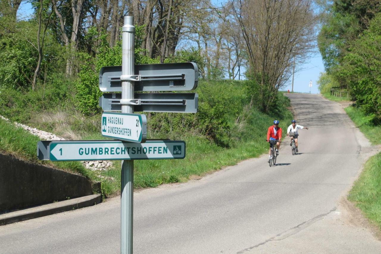 Gumbrechtshoffen Gites Du Tilleul מראה חיצוני תמונה